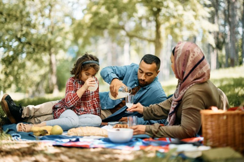 Family having a picnic