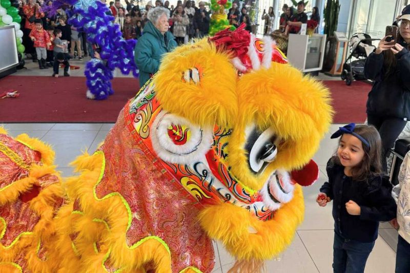 A Chinese lion dancer performs and interacts with a young girl.