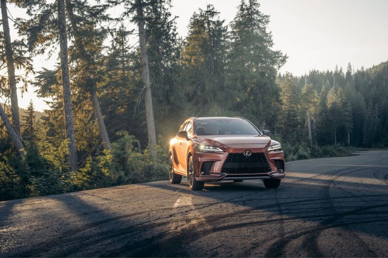 A new Lexus self-charging hybrid vehicle parked on a forest road.