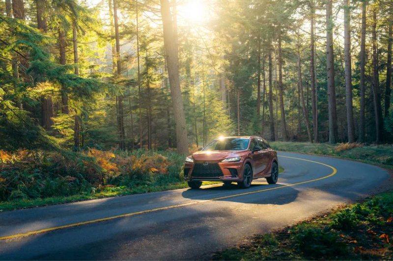 A 2024 Lexus RX SUV in copper colour drives down a sunny forest highway.