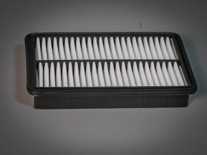 Ecogard Premium Air Filter (XA6280)