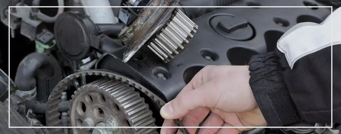 Check-the-Belts-and-Hoses